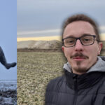 czas na lustrację rzepaku