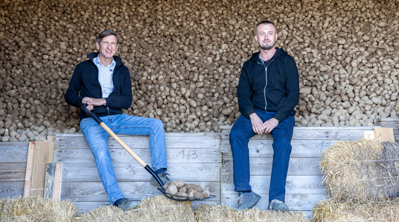 czy udało się wygrać bitwę o bulwę